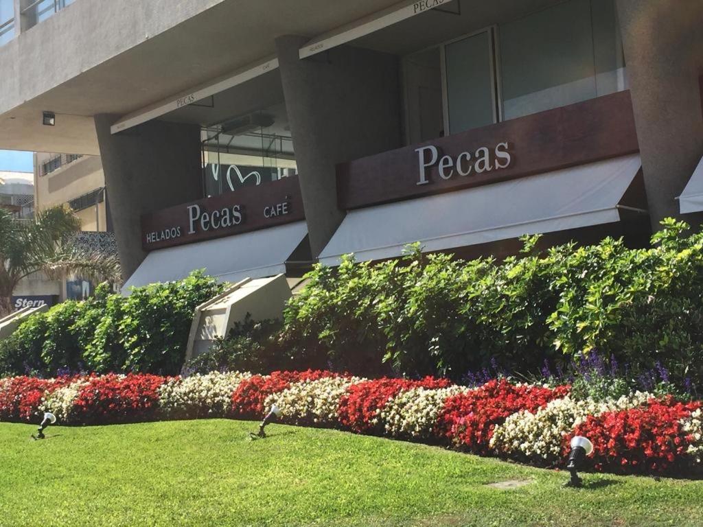 Depto Daria Punta Del Este Exterior photo